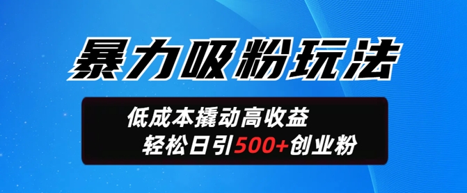 暴力吸粉玩法,日引500+精准创业粉,日变现轻松多张-读读学社